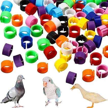 Anillas de identificación